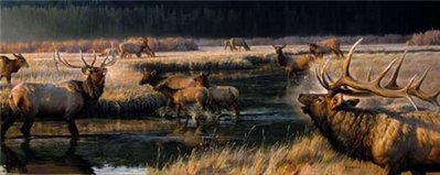 Morning Frost- Signed By The Artist								 – Paper Lithograph
								 – Limited Edition
								 – 1850 S/N
								 – 
								15 x 36