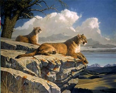 The Outlook- Signed By The Artist								 – Paper Lithograph
								 – Limited Edition
								 – 1200 S/N
								 – 
								22 x 28