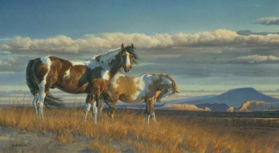 The Painted Desert- Signed By The Artist								 – Canvas Lithograph
								 – Limited Edition
								 – 295 S/N
								 – 
								17 x 34								
								 –