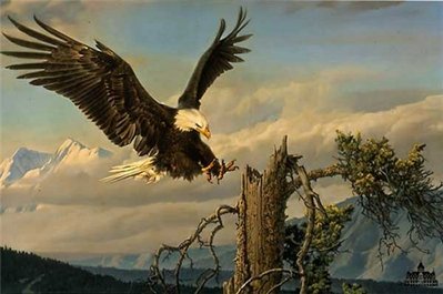 Power Landing- Signed By The Artist								 – Paper Lithograph
								 – Limited Edition
								 – 1200 S/N
								 – 
								20 x 30