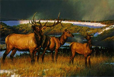 Prelude- Signed By The Artist								 – Paper Lithograph
								 – Limited Edition
								 – 1200 S/N
								 – 
								20 x 30
