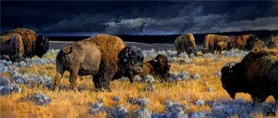 Restless- Signed By The Artist								 – Canvas Lithograph
								 – Limited Edition
								 – 95 S/N
								 – 
								16 x 36								
								 –