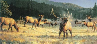 Rocky Mountain Meadow- Signed By The Artist								 – Paper Lithograph
								 – Limited Edition
								 – 1200 S/N
								 – 
								15 1/2 x 34