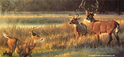 Shadow Tales- Signed By The Artist								 – Paper Lithograph
								 – Limited Edition
								 – 1500 S/N
								 – 
								18 x 36
