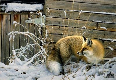 Shed Door Fox- Signed By The Artist								 – Canvas Lithograph
								 – Limited Edition
								 – 550 S/N
								 – 
								18 x 24								
								 –