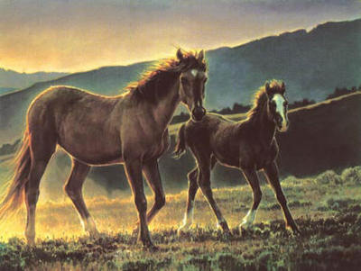 Star And Her Foal- Signed By The Artist								 – Paper Lithograph
								 – Limited Edition
								 – 750 S/N
								 – 
								15 x 20								
								 –