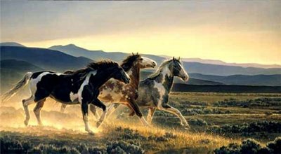 Three Amigos- Signed By The Artist								 – Paper Lithograph
								 – Limited Edition
								 – 1200 S/N
								 – 
								18 1/2 x 34