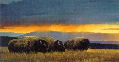 Western Skies- Signed By The Artist								 – Canvas Lithograph
								 – Limited Edition
								 – 495 S/N
								 – 
								17 x 34