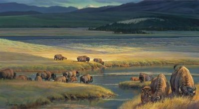 Buffalo Valley- Signed By The Artist								 – Canvas Giclee
								 – Limited Edition
								 – 35 A/P
								 – 
								18 x 32 3/4