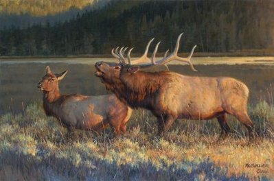 Evening Light- Signed By The Artist								 – Canvas Giclee
								 – Limited Edition
								 – 595 S/N
								 – 
								16 x 24
