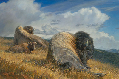 High Ground- Signed By The Artist								 – Canvas Giclee
								 – Limited Edition
								 – 35 S/N
								 – 
								24 x 36