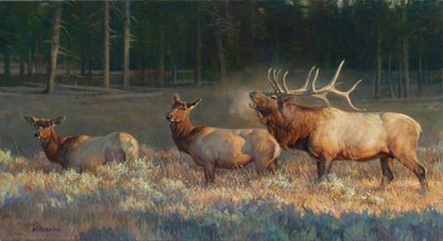 Wake Up Call- Signed By The Artist								 – Canvas Giclee
								 – Limited Edition
								 – 595 S/N
								 – 
								18 x 36
