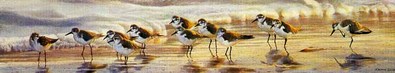 Shoreline Sanderlings- Signed By The Artist								 – Paper Lithograph
								 – Limited Edition
								 – 950 S/N
								 – 
								6 1/4 x 32 3/8