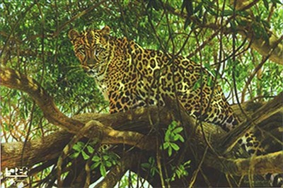 Spotted- Signed By The Artist								 – Canvas Giclee
								 – Limited Edition
								 – 180 S/N
								 – 
								24 x 36