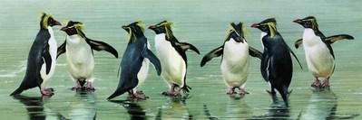 Take Your Partner- Signed By The Artist								 – Canvas Giclee
								 – Limited Edition
								 – 180 S/N
								 – 
								14 x 42