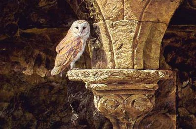 Ancient Glow – European Barn Owl- Signed By The Artist								 – Paper Lithograph
								 – Limited Edition
								 – 76 A/P
								 – 
								19 3/8 x 29 1/8