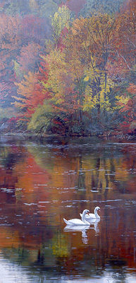 Autumn Reflections- Signed By The Artist								 – Paper Lithograph
								 – Limited Edition
								 – 650 S/N
								 – 
								22 x 11 3/8