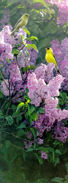 Garden Gold- Signed By The Artist								 – Paper Lithograph
								 – Limited Edition
								 – 76 A/P
								 – 
								22 x 8 1/2