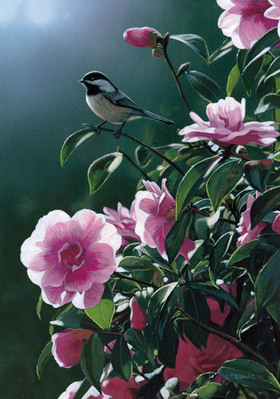 In The Limelight – Chickadee- Signed By The Artist								 – Paper Lithograph
								 – Limited Edition
								 – 76 A/P
								 – 
								12 x 8 5/8