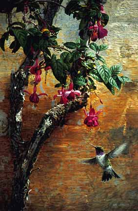 The Mission Wall – Black-Chinned Hummingbird- Signed By The Artist								 – Paper Lithograph
								 – Limited Edition
								 – 950 S/N
								 – 
								15 1/4 x 10
