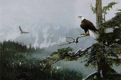 On Eagles Wings- Signed By The Artist								 – Paper Lithograph
								 – Limited Edition
								 – 76 A/P
								 – 
								21 5/8 x 32 1/2