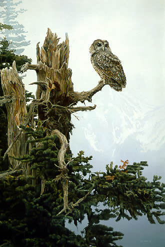 On The Precipice- Signed By The Artist								 – Paper Lithograph
								 – Limited Edition
								 – S/N
								 – 
								20 x 14 3/8