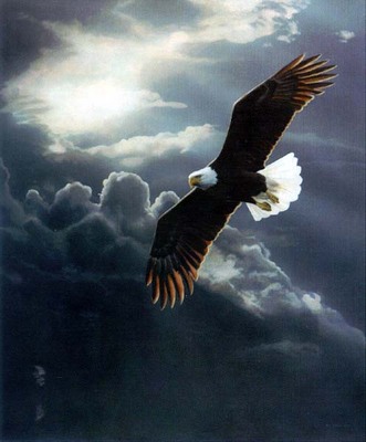 Out Of The Storm- Signed By The Artist								 – Paper Lithograph
								 – Limited Edition
								 – 76 A/P
								 – 
								26 1/2 x 22 1/2