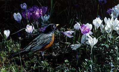 Signs Of Spring- Signed By The Artist								 – Paper Lithograph
								 – Limited Edition
								 – 76 A/P
								 – 
								9 x 15