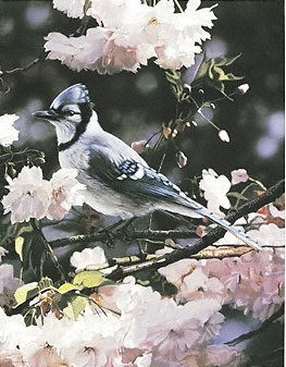 Visitor In Blue- Signed By The Artist								 – Paper Lithograph
								 – Limited Edition
								 – 950 S/N
								 – 
								17 x 11 3/4