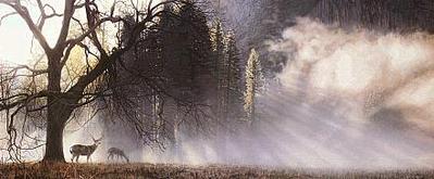 Yosemite Dawn- Signed By The Artist								 – Paper Lithograph
								 – Limited Edition
								 – 76 A/P
								 – 
								13 3/4 x 32 1/2