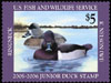 JDS 13 – 2005 Ring-necked Duck Kerissa Nelson
