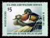 JDS 7 – 1999 Wood Duck Ryan Kirby