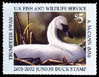 JDS 9 – 2001 Trumpeter Swan Aremy McCann