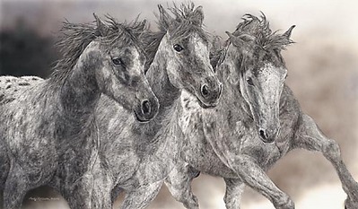 The Protesters- Signed By The Artist								 – Canvas Giclee
								 – Limited Edition
								 – 200 S/N
								 – 
								18 x 31								
								 –