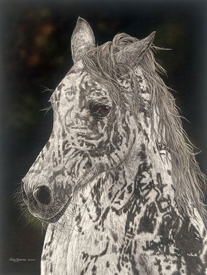 American Horse- Signed By The Artist								 – Paper Giclee
								 – Limited Edition
								 – 250 S/N
								 – 
								20 x 15