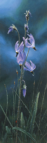 Shooting Stars And Ladybug- Signed By Andrea Lyman								 – Canvas Giclee
								 – Limited Edition
								 – 100 S/N
								 – 
								13 1/4 x 4 3/8
