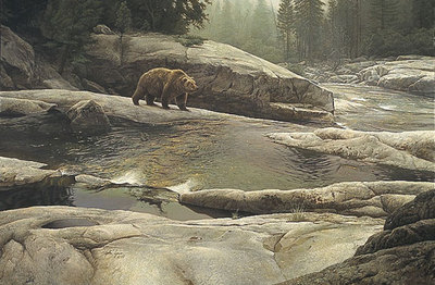 Uzumati: Great Bear Of Yosemite- Signed By The Artist								 – Paper Lithograph
								 – Limited Edition
								 – 1750 S/N
								 – 
								24 3/4 x 35