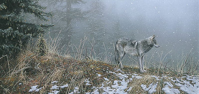 Silent Snows- Signed By The Artist								 – Paper Lithograph
								 – Limited Edition
								 – 1750 S/N
								 – 
								15 7/8 x 33