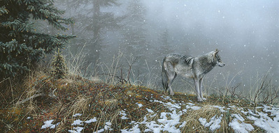 Silent Snows- Signed By Andrea Lyman								 – Canvas Giclee
								 – Limited Edition
								 – 75 S/N
								 – 
								16 x 34