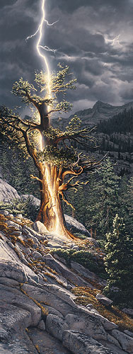 Thunderbolt- Signed By The Artist								 – Paper Lithograph
								 – Limited Edition
								 – 7000 S/N
								 – 
								33 x 12 1/4