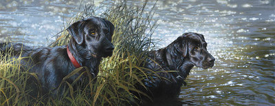 Black Magic- Signed By The Artist								 – Canvas Giclee
								 – Limited Edition
								 – 100 S/N
								 – 
								14 x 36