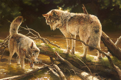 Lucky Catch- Signed By The Artist								 – Canvas Giclee
								 – Limited Edition
								 – 75 S/N
								 – 
								24 x 36