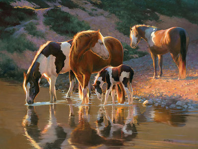 Night Cap- Signed By The Artist								 – Canvas Giclee
								 – Limited Edition
								 – 75 S/N
								 – 
								30 x 40