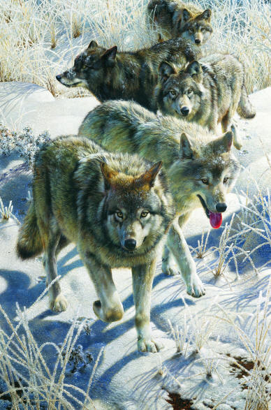 Miles To Go- Signed By The Artist								 – Paper Giclee
								 – Limited Edition
								 – 180 S/N
								 – 
								40 x 26 1/4