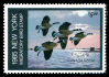 New York-Migratory Bird (1985-2002)