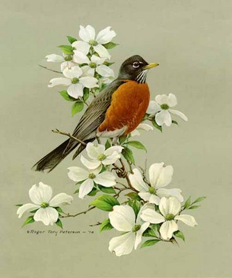 Robin- Signed By The Artist								 – Paper Lithograph
								 – Limited Edition
								 – 950 S/N
								 – 
								17 x 14