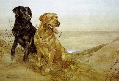 Black And Yellow- Signed By The Artist								 – Paper Lithograph
								 – Limited Edition
								 – 950 S/N
								 – 
								18 1/8 x 26 1/4