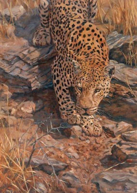Leopard Descent- Signed By The Artist								 – Canvas Giclee
								 – Limited Edition
								 – 180 S/N
								 – 
								24 x 16
