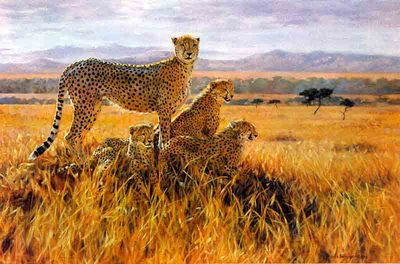 A Vantage Point- Signed By The Artist								 – Canvas Lithograph
								 – Limited Edition
								 – 95 S/N
								 – 
								20 x 30