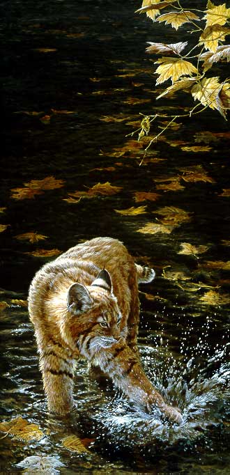 Water Sport – Bobcat- Signed By The Artist								 – Paper Lithograph
								 – Limited Edition
								 – 950 S/N
								 – 
								32 x 15 5/8